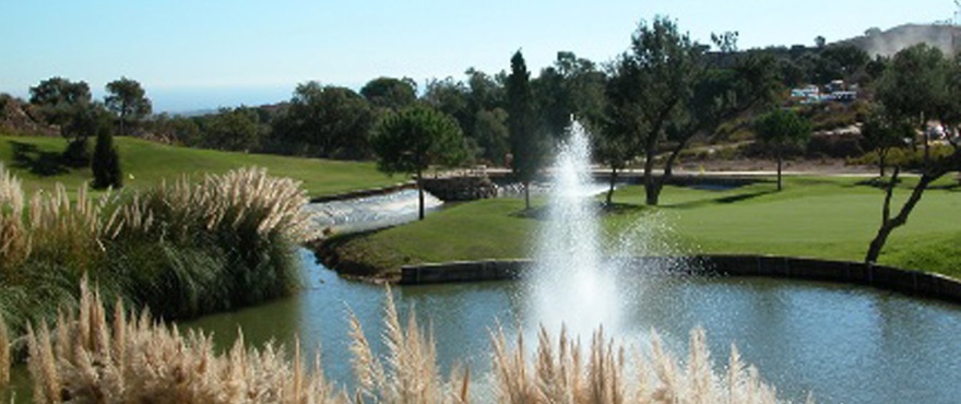 http://estatesinthesun.com/properties/wp-content/uploads/CSF3838CDS_photo4.jpg